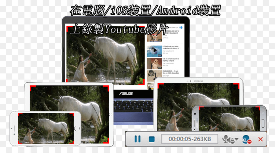 Video YouTube Screencast Multimedia Labor - Bildschirm recorder