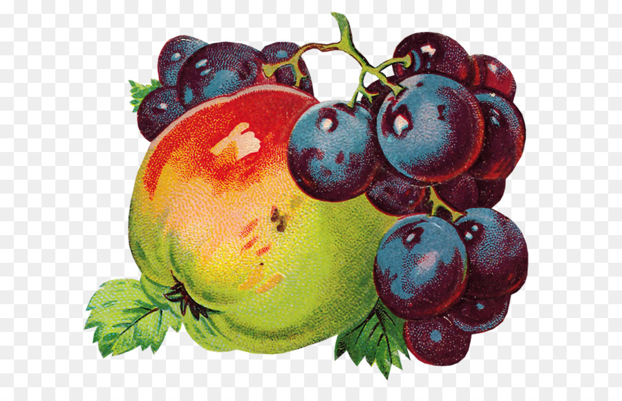 Comune Di Uva Vitigno A Bacca Frutta Decoupage - uva