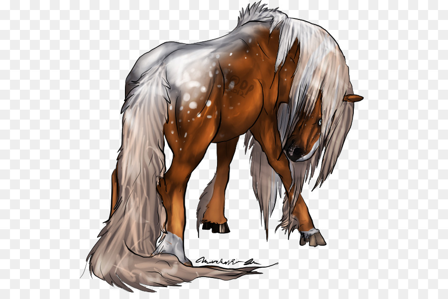 Bờm Mustang Ngựa Con Ngựa Colt - mustang