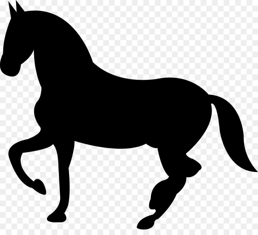 Cavallo Puledro Icone Del Computer Equestre - cavallo