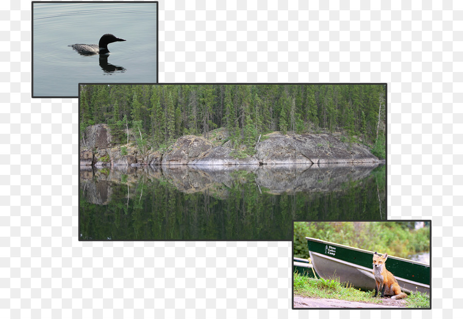 Jan Lake, Saskatchewan Tre Laghi Campeggio Lago Di Diefenbaker Stagno - Luccio