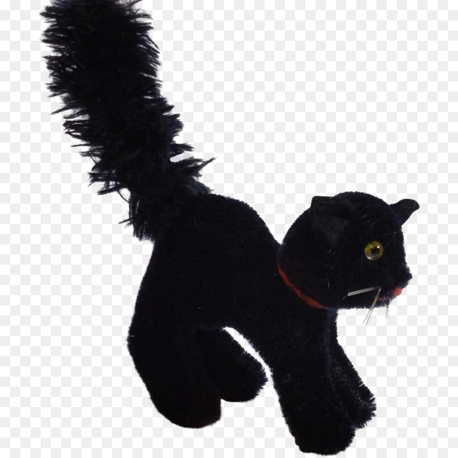 Con mèo đen trong Nước ngắn Râu mèo Lông - con mèo