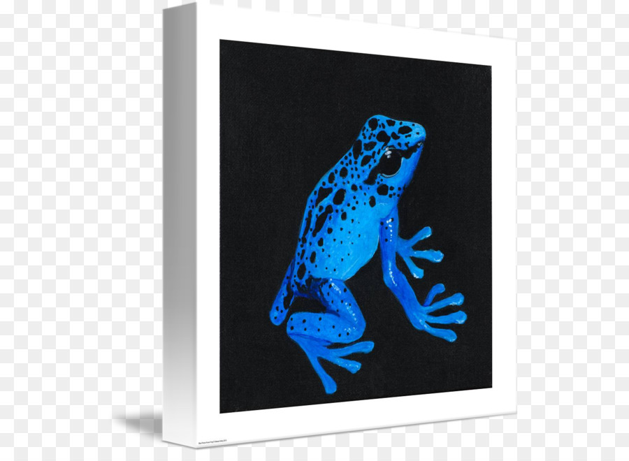 Baum-Frosch-Kobalt-blau Bilderrahmen - Gift dart Frosch