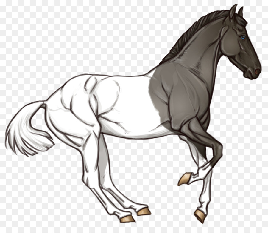 Bờm Ngựa Ngựa Con Ngựa Colt - mustang