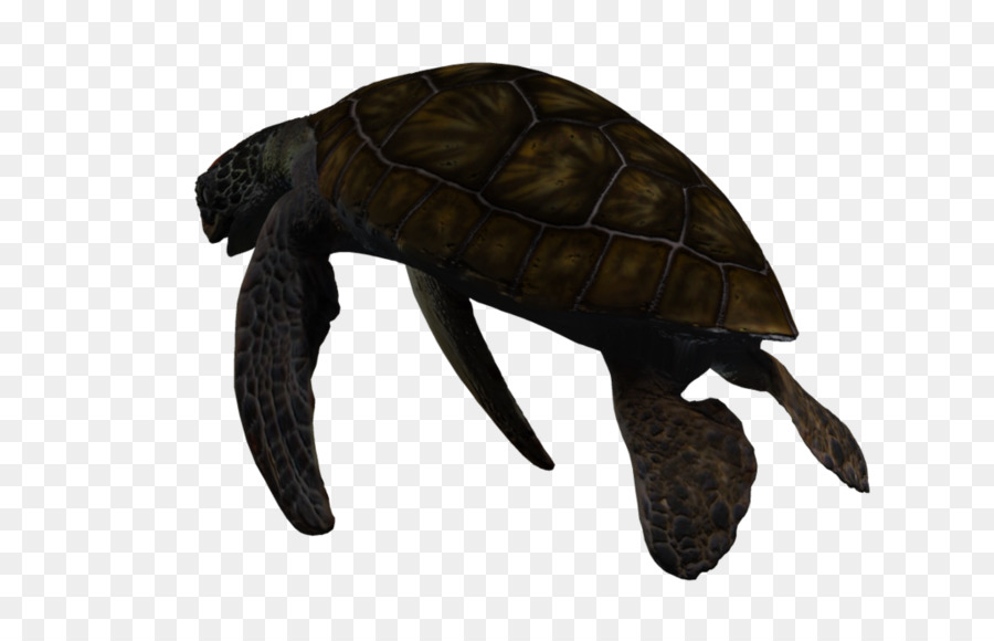Sumpfschildkröten 3D-computer-Grafiken Sea turtle Tiefsee-Kreatur - Schildkröte
