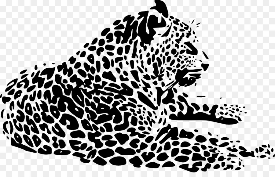 Leopard Cheetah Tiger Jaguar Schnurrhaare - Leopard