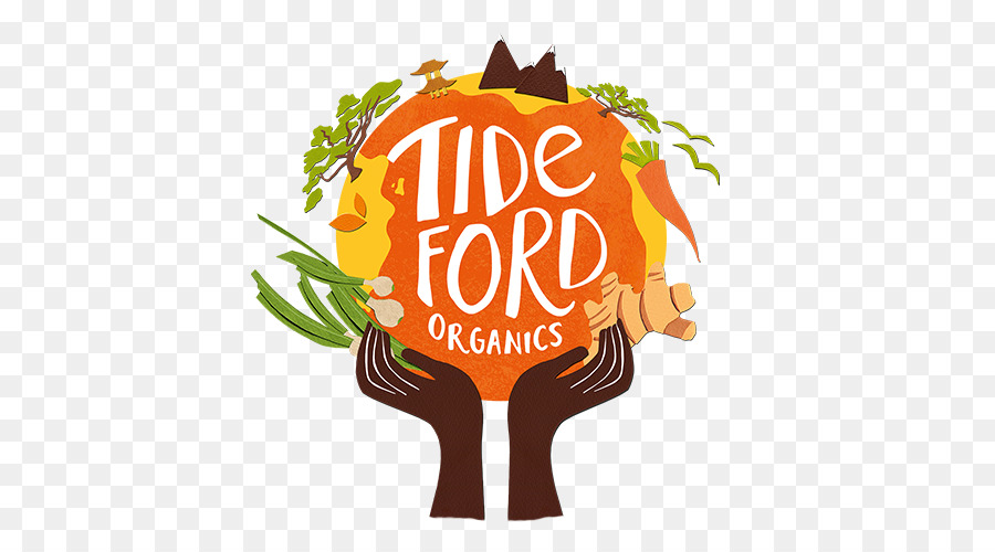 Tideford Organic Foods Miso Vegetarische Küche - Frühlingszwiebel