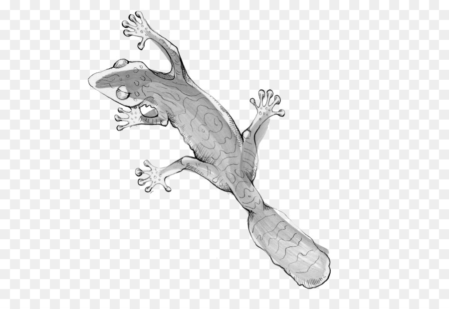 Frosch-Reptil-Körper-Schmuck-Weißer Schwanz - Frosch