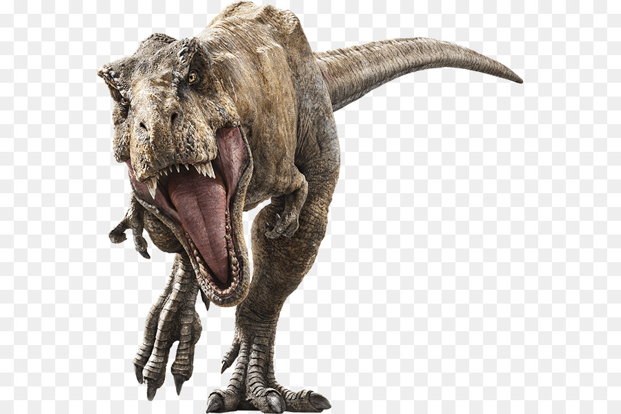 Tyrannosaurus Velociraptor Universal Pictures Jurassic Park-Baryonyx - Jurassic World: Das Gefallene Königreich