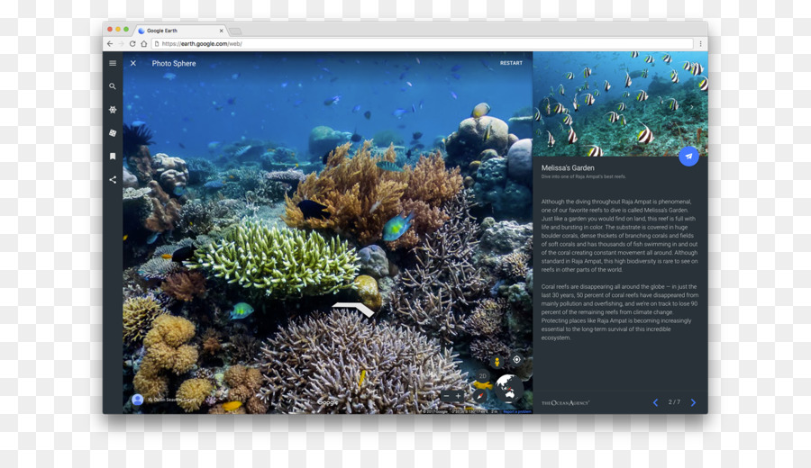 Coral reef Catlin Seaview Survey Oceano Agenzia di biologia Marina - altri