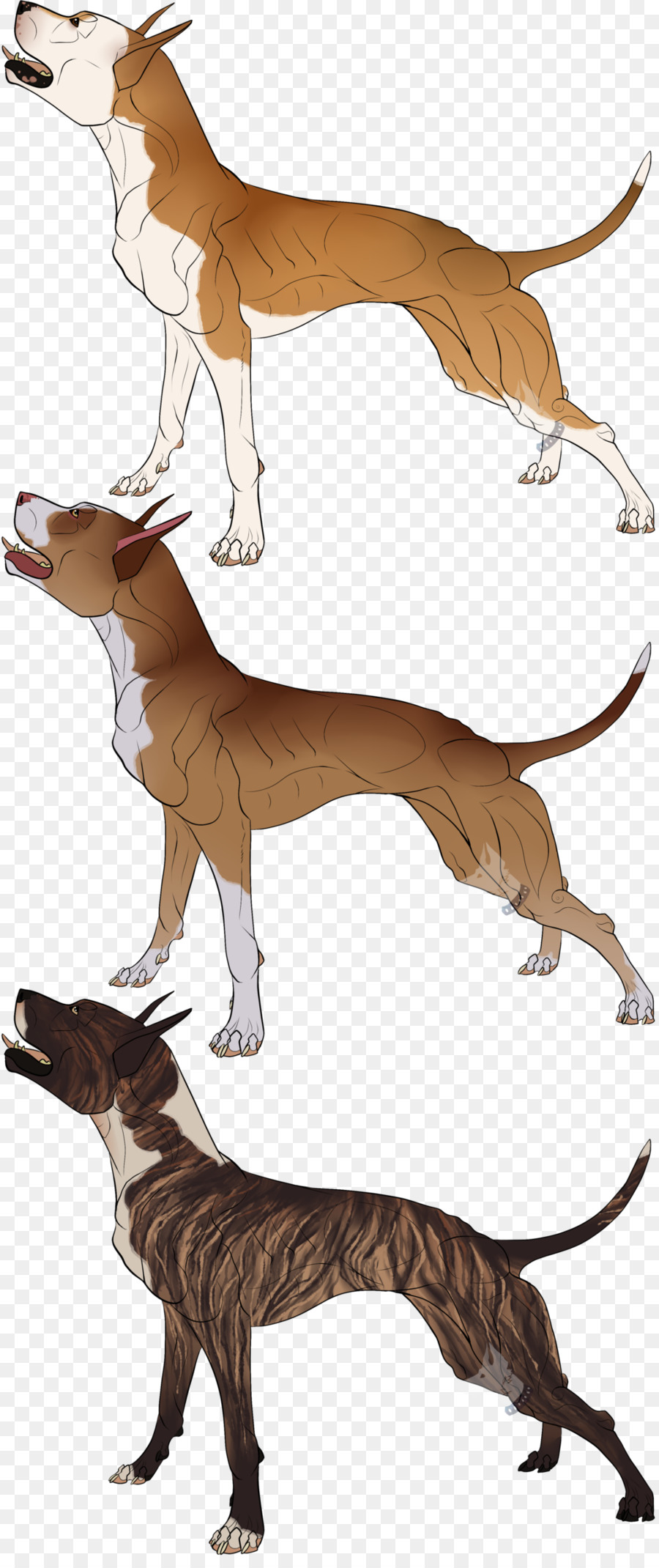 Italienischer Windhund-Cartoon-Charakter - Cane Corso