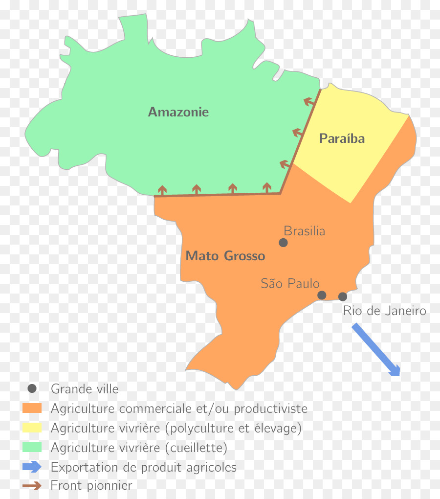 Brasilien Landwirtschaft Systemy rolnicze Intensive Landwirtschaft, de Agricultura Brasil - Entwaldung