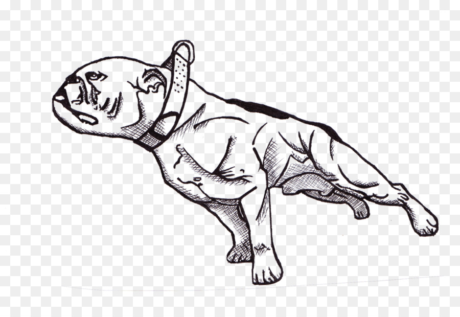 Dog Drawing