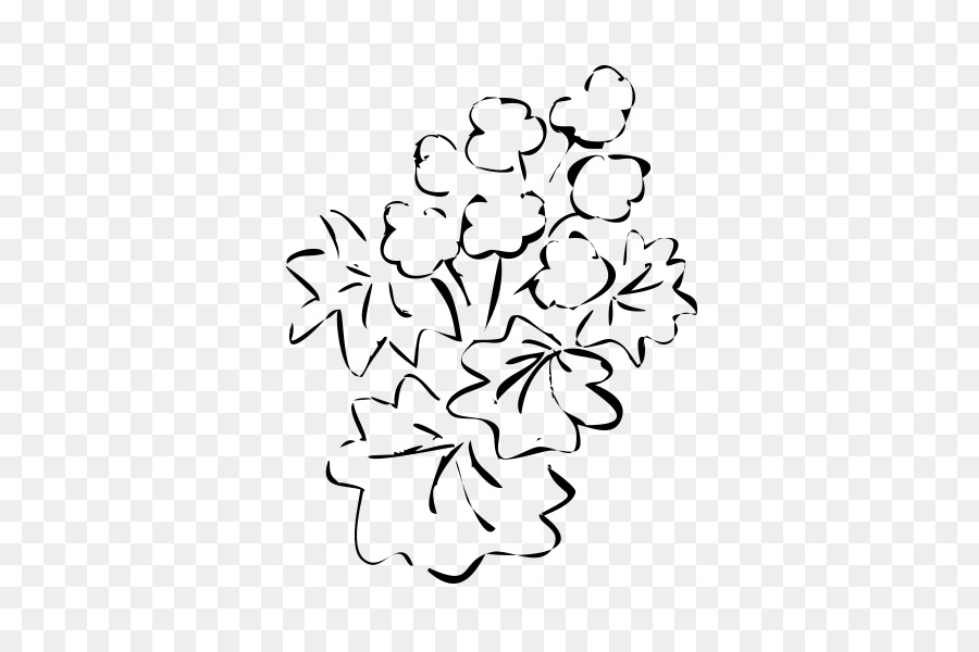 Bassano del Grappa Filiale di fiori recisi di Rubbio - alchemilla