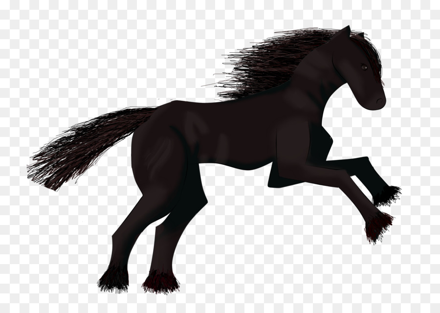 Mähne Mustang Stallion Foal Colt - Mustang