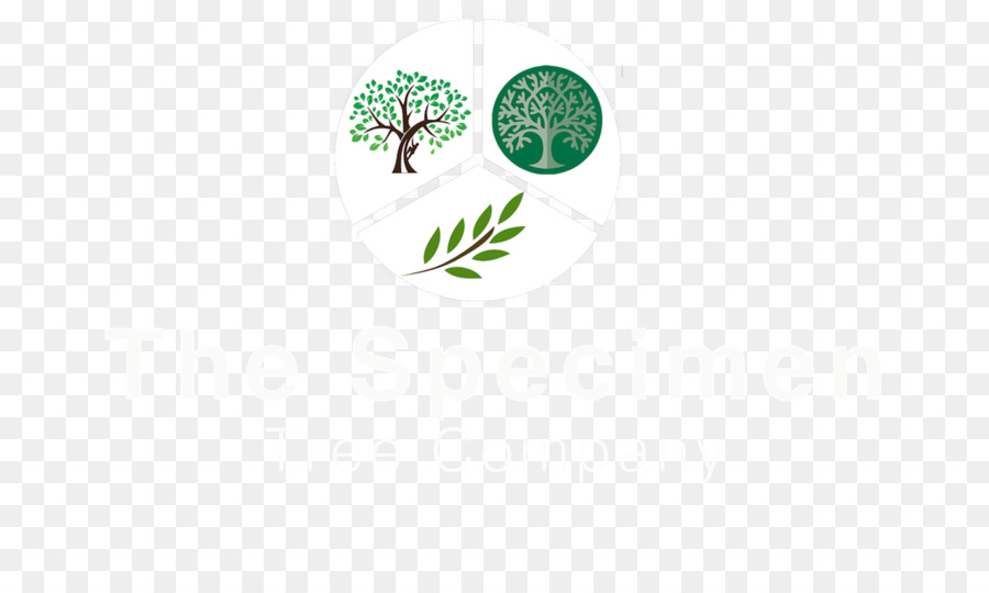 Logo Brand Albero Di Carattere - albero