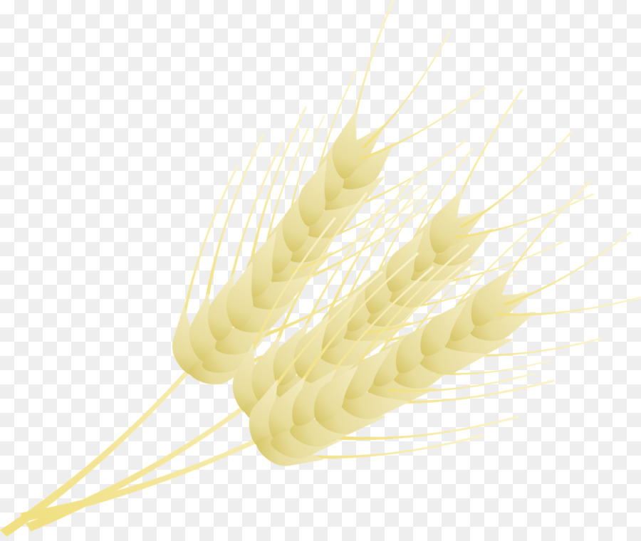 Gräser Getreide Food Familie - Weizen Abzeichen