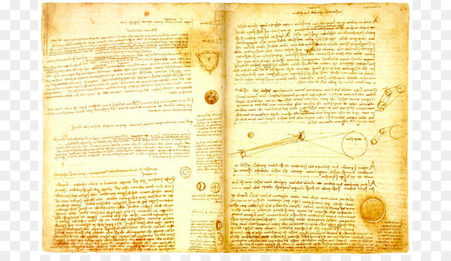 Codex Leicester Codex auf dem Flug der Vögel Spiegel schreiben - Buchen