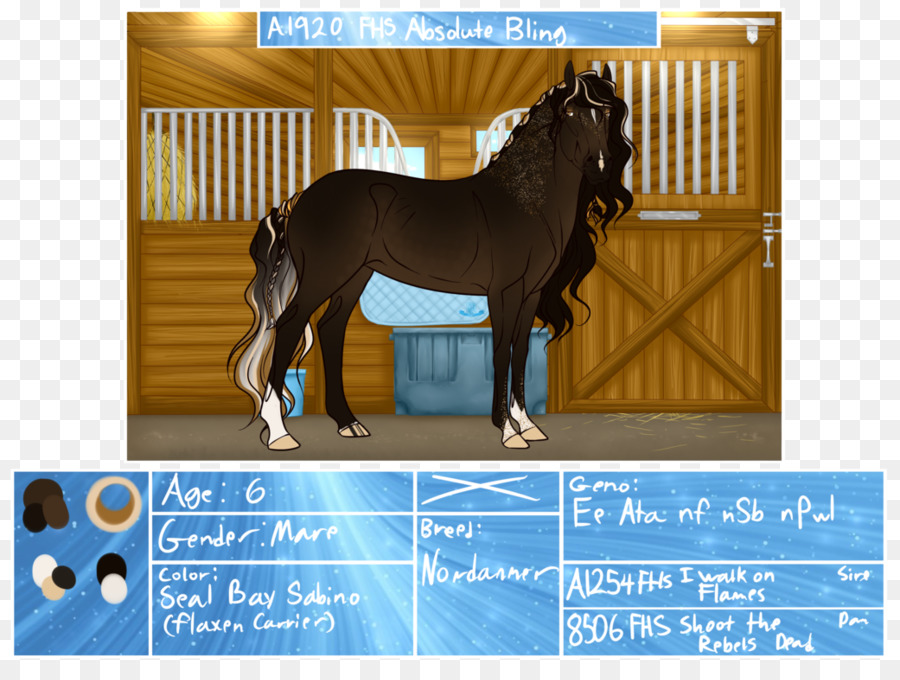 Stallone Puledro Mare Pony Mustang - mustang