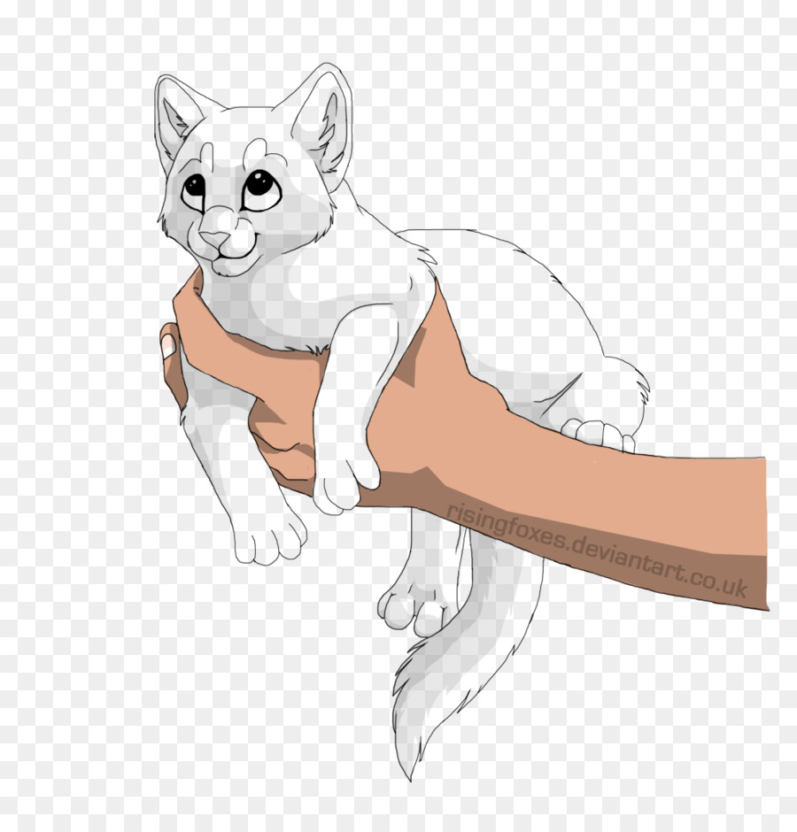 Con mèo Râu Dòng nghệ thuật Vẽ - con mèo