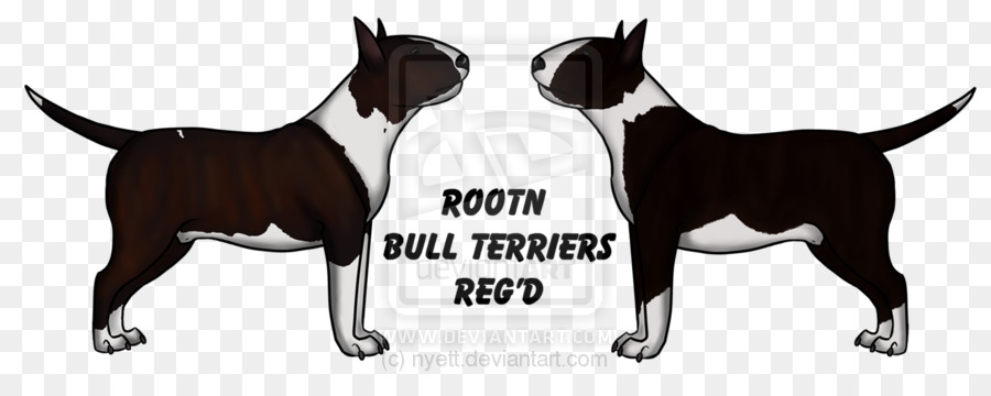 Boston Terrier Hunderasse Bull Terrier, der Nicht-sportliche Gruppe - Pit Bull