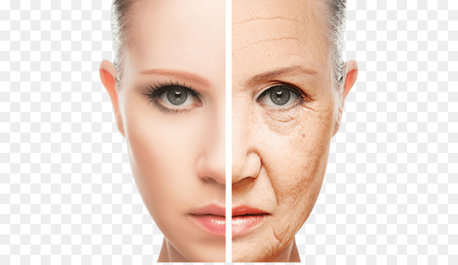 Falten-Haut-Aging Kosmetik Anti-aging Creme - Gesicht