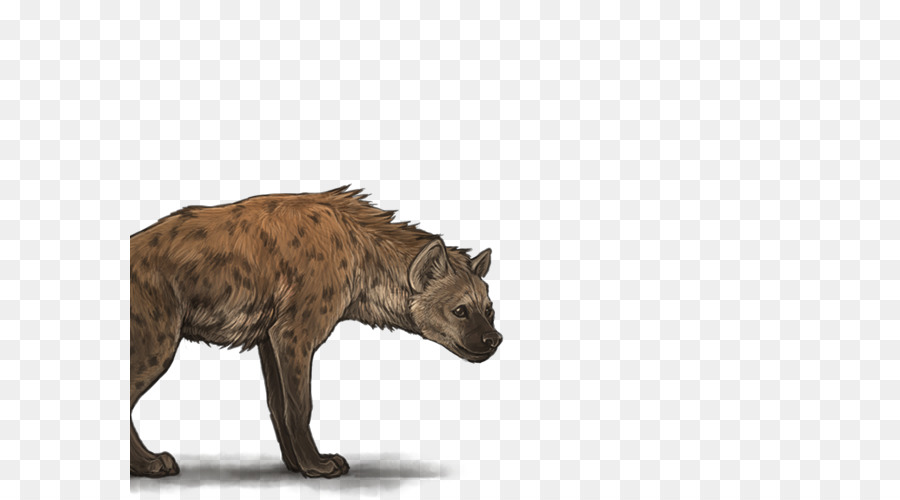 Katze Terrestrischen Tier-Puma-Fell Tierwelt - Katze