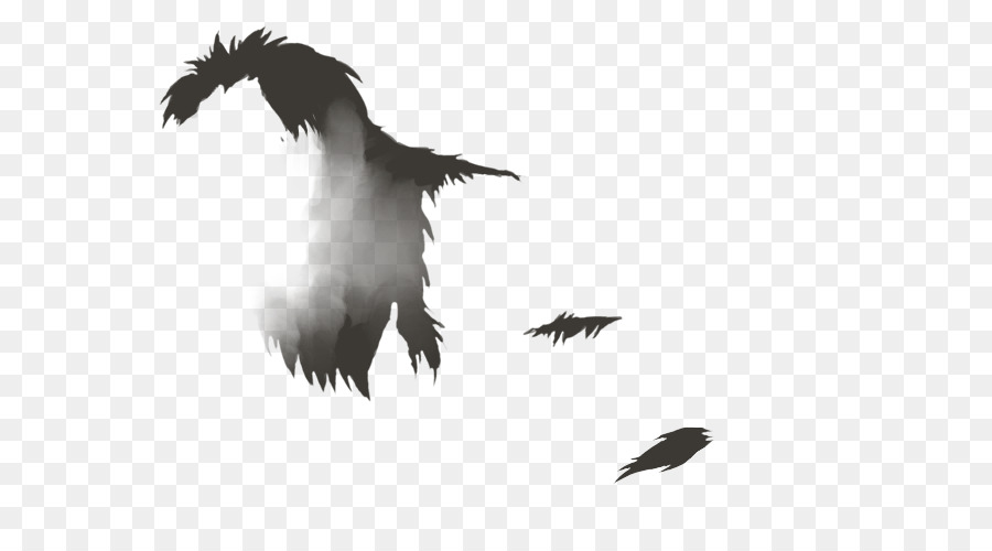 L'Aquila Calva Becco Vulture Piuma Bianca - leone, criniera