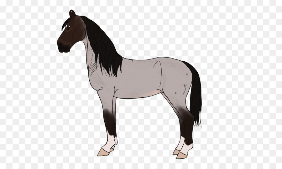 Mane Mustang Stallone Puledro Di Pony - mustang