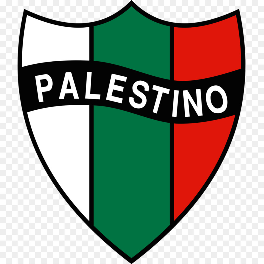 Club Deportivo Palestino Santiago Wanderers Chilean Primera Division, Copa Chile Audax Italiano - Chile Tasse