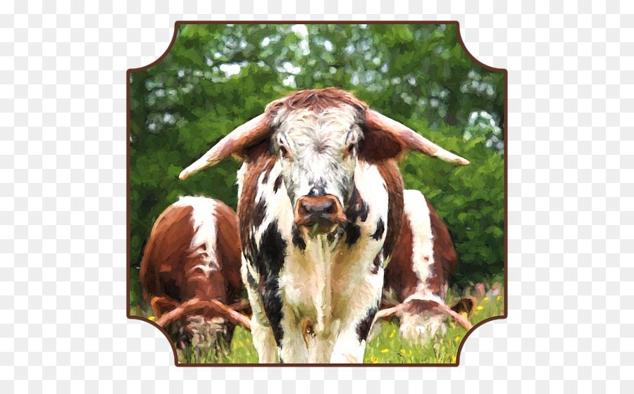 Texas Longhorn Milchkühe Englisch Longhorn Kunst Ziege - Abrechnung