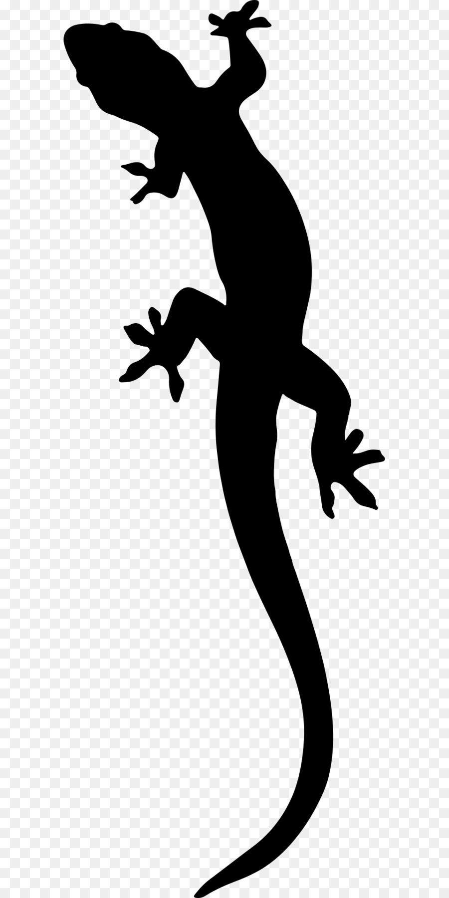 Salamander Eidechse Clip-art - Salamander