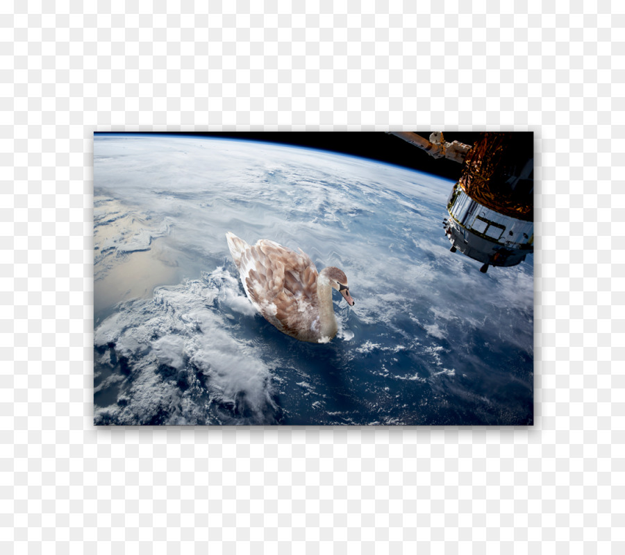 Stazione internazionale Spaziale del programma Space Shuttle Terra la NASA Space debris - terra