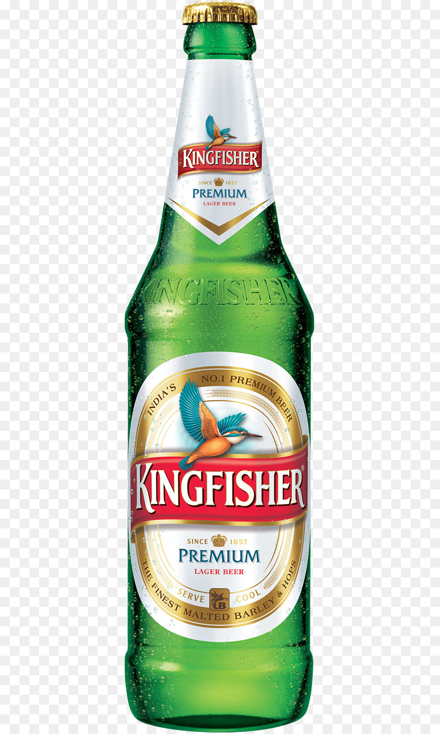 Lager Bier in Indien Kingfisher Destilliertes Getränk - kingfisher Bier