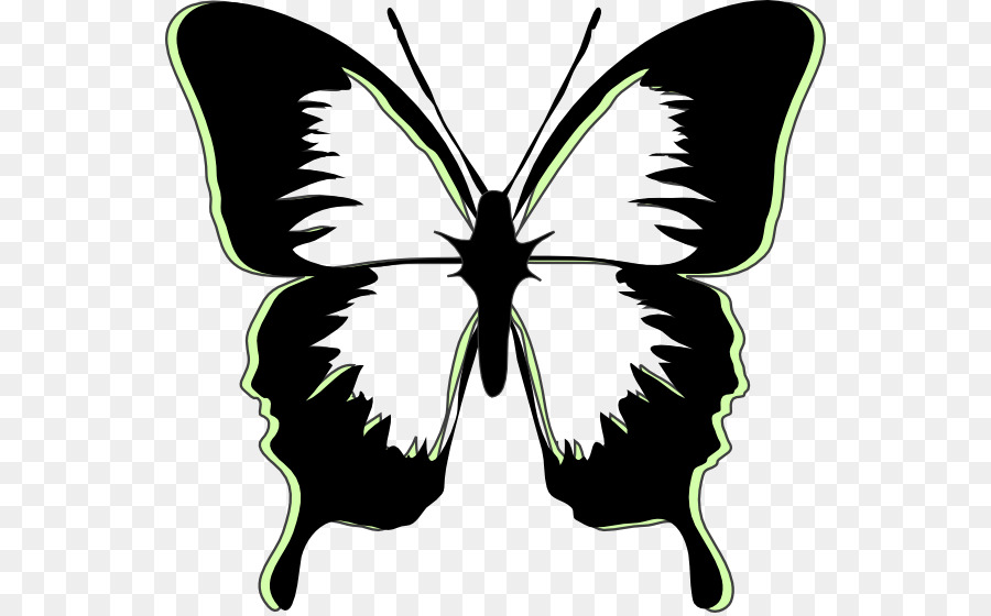 Schmetterling Schablone, Zeichnung Kunst - Schmetterling