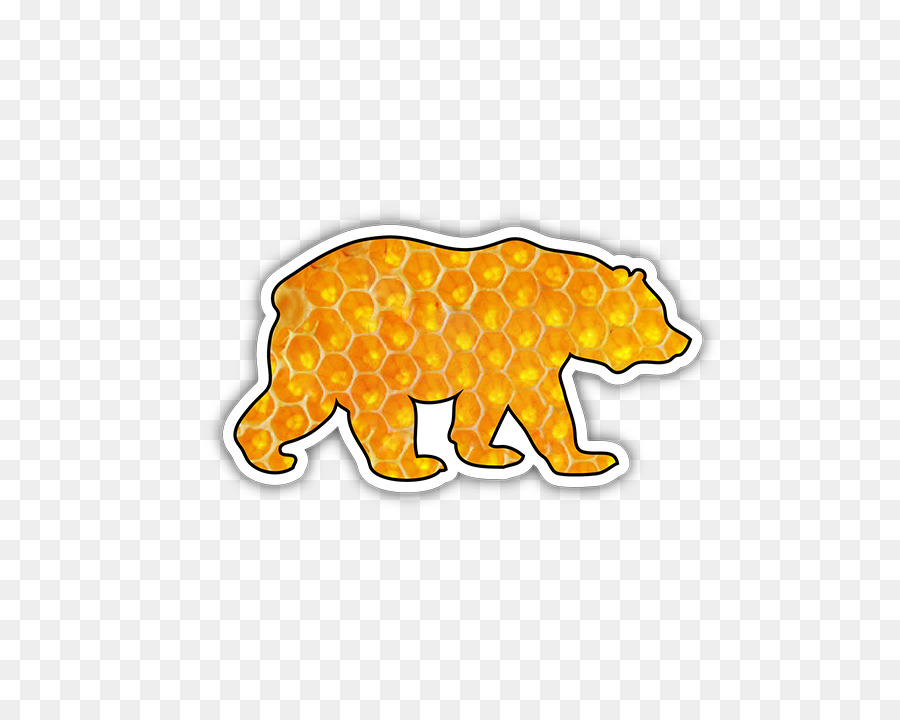 Carnivora Muso Animale cartone Animato Carattere - orso miele