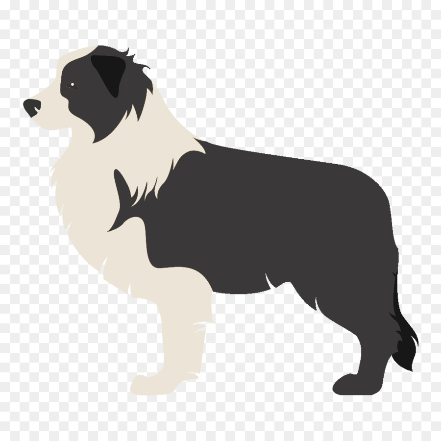 Border Collie-rauer Collie-schottischer Collie-alter englischer Schäferhund - Welpen