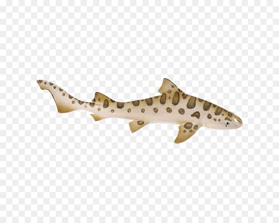 Leopard shark Safari Ltd Knorpelige Fische Zebra shark - Hai
