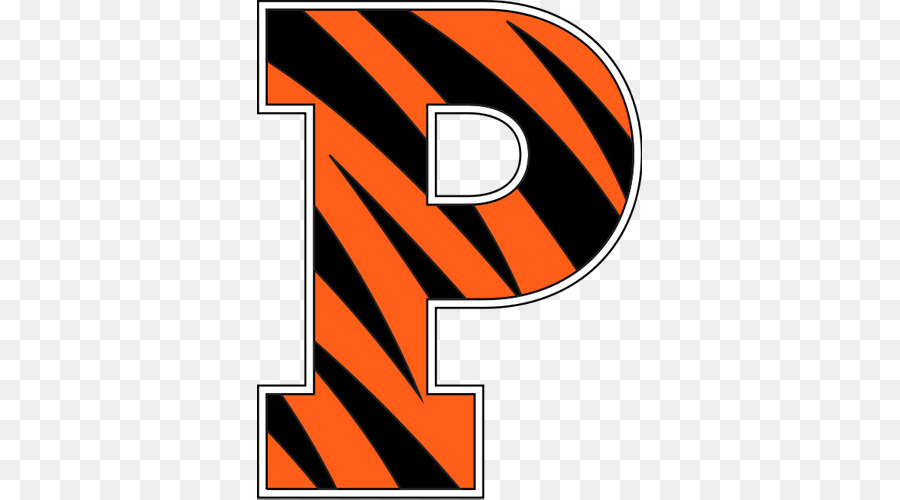 L'Università di Princeton Princeton Tigers basket maschile Princeton Tigri di calcio Uomini di NCAA Division I Torneo di Basket Syracuse University - Princeton Scuola Di Amici