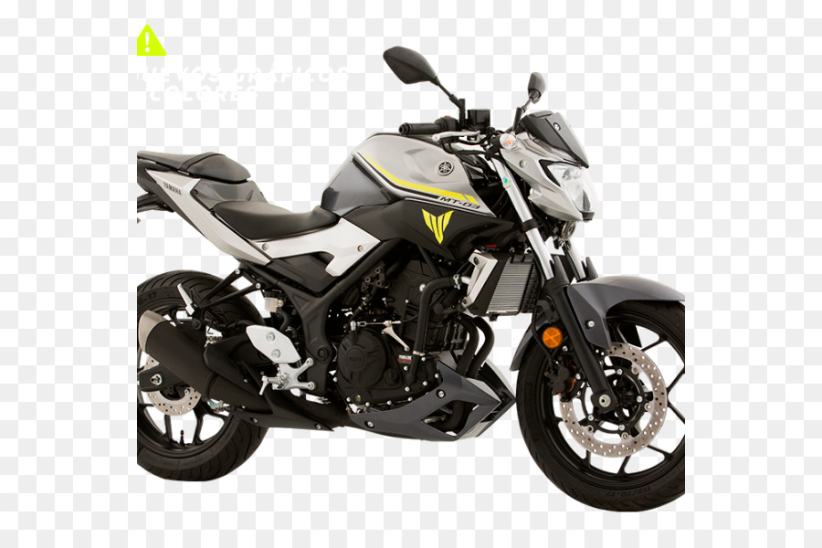Kawasaki Z300 Motorcycle