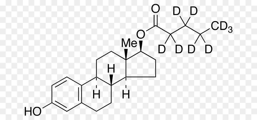 Estradiol Östrogen-Steroid Deoxycholic acid Dehydroepiandrosterone - Neochlorogenic Säure