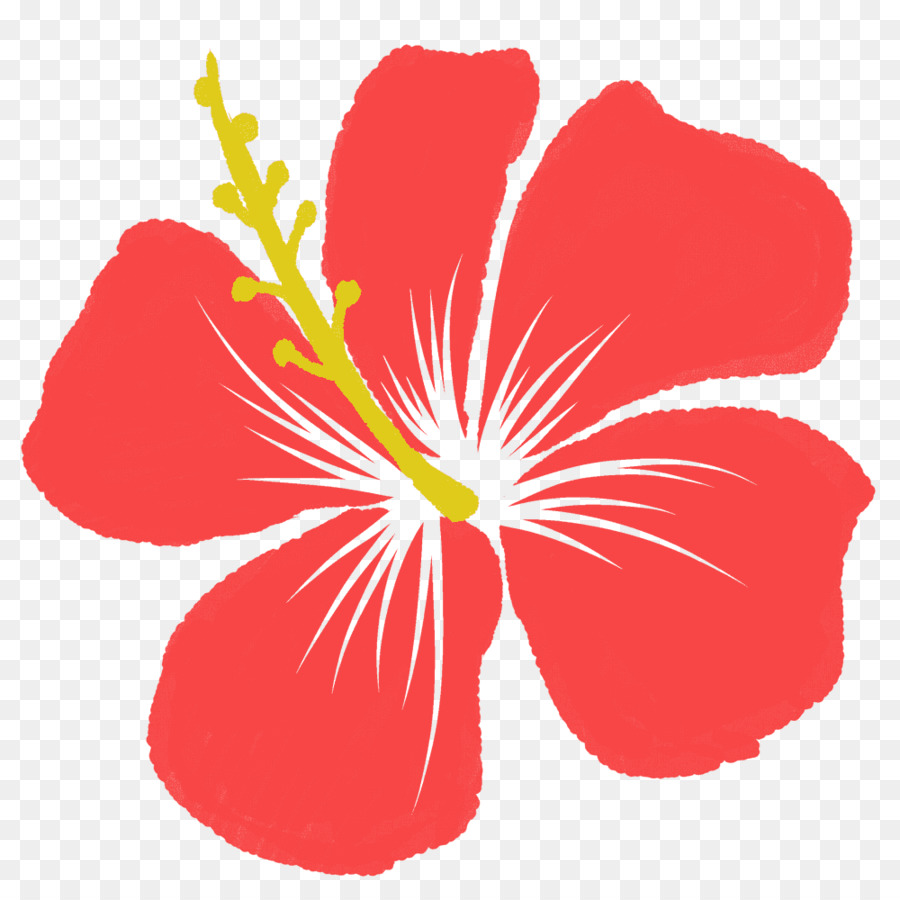 Pink Flower Cartoon png download - 1000*1000 - Free Transparent Hibiscus  png Download. - CleanPNG / KissPNG