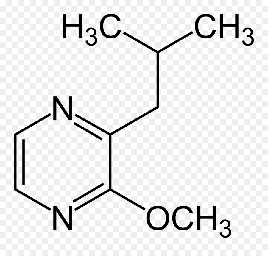 Coniferyl rượu Hóa học Ngầm nhóm hợp chất Hóa học - những người khác