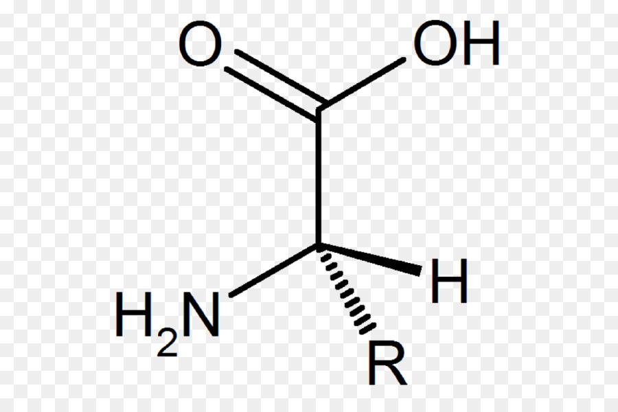 Chức acid p-Toluic acid Giữ acid khát nước, buồn nôn acid - Axit amin