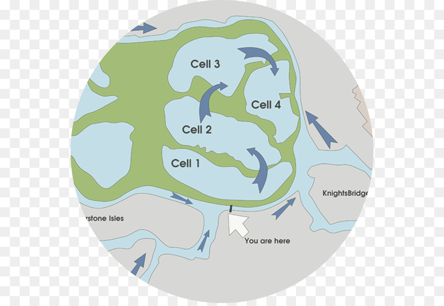 Intaka Island Water Map Organismus - Wasser