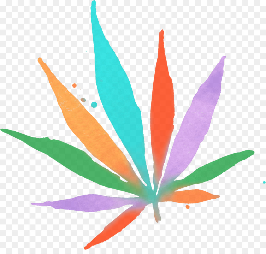 La legalità di cannabis l'uso di droghe Ricreative Legalizzazione organizzazione Non-profit - canapa