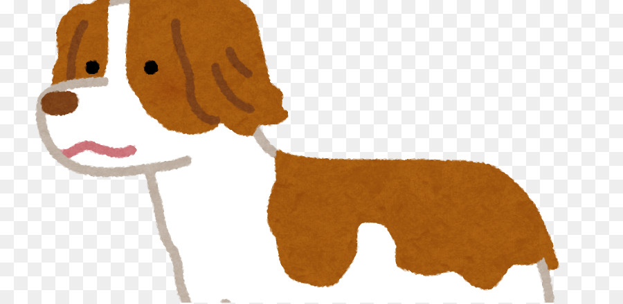 Bretagna cane Golden Retriever, Labrador Retriever, Spaniel - spaniel cucciolo