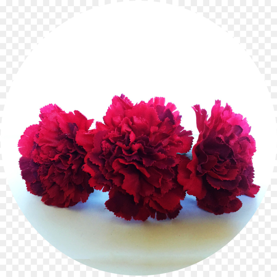 Garofano Rosso fiori recisi Magenta - garofano