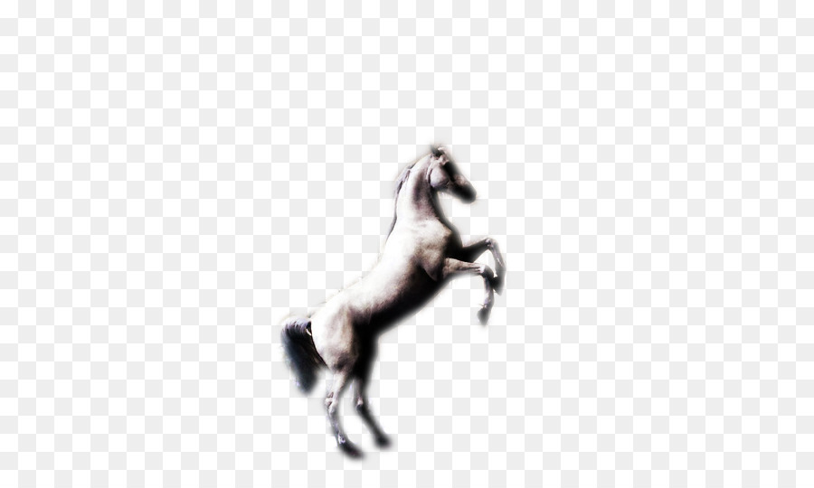 Mustang Con Ngựa Chủ Miễn Phí Cơ Thể Văn Hóa Nhân Vật - con ngựa hoang dã