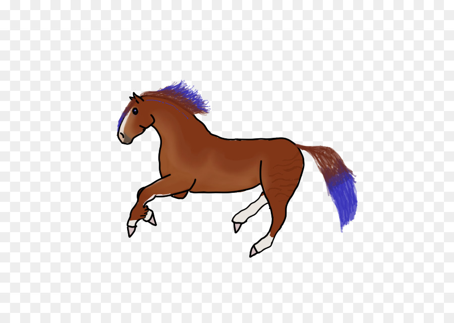 Bờm Ngựa Mustang Mare Kiềm - mustang